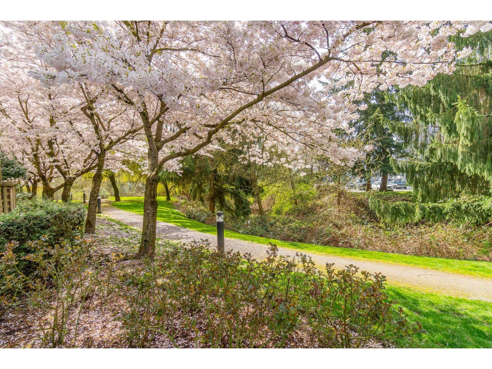 332 27358 32 Avenue, Langley, British Columbia  V4W 3M5 - Photo 29 - R3109692