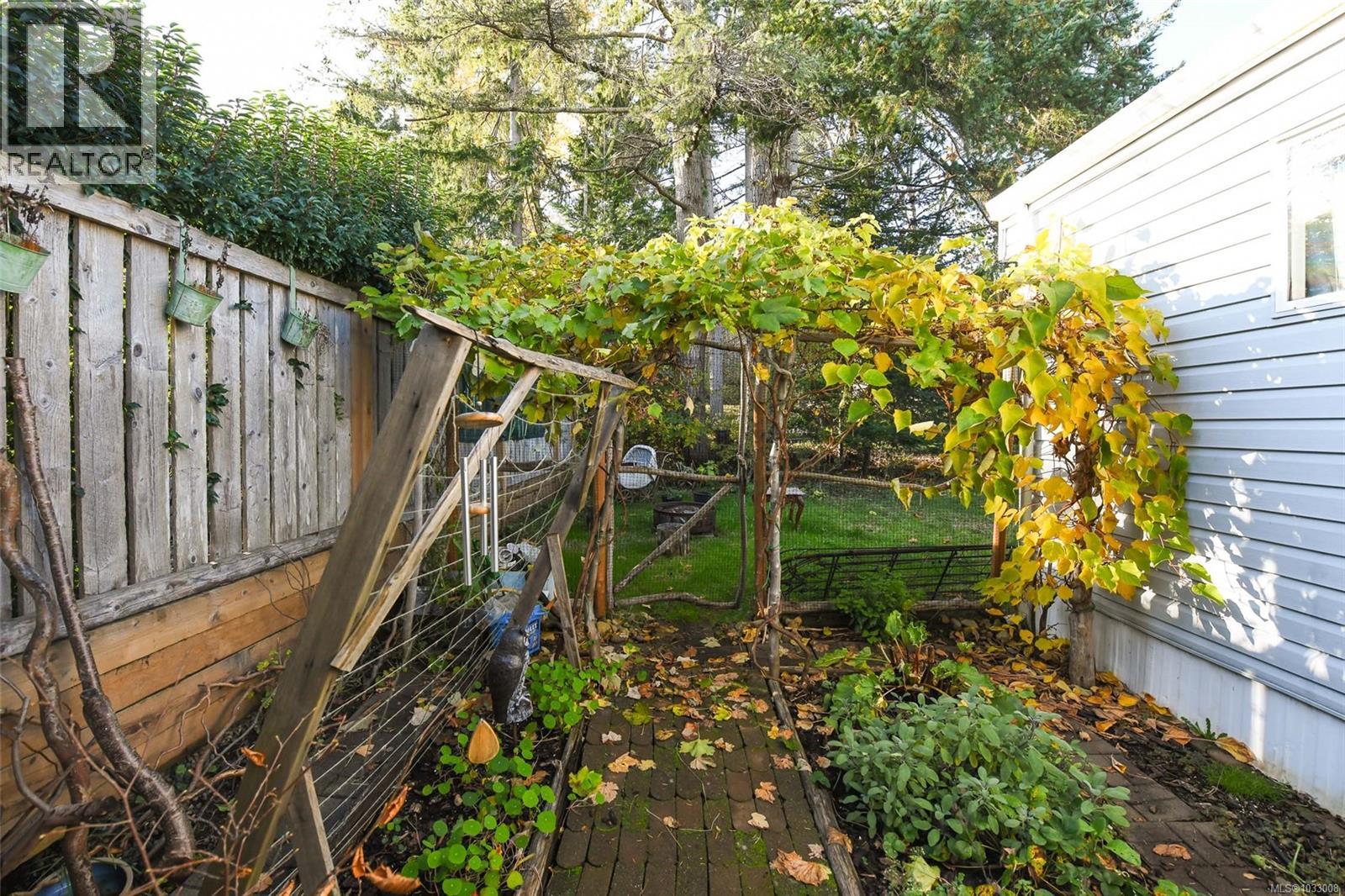 5557 Horne St, Union Bay, British Columbia  V0R 3B0 - Photo 10 - 1033008