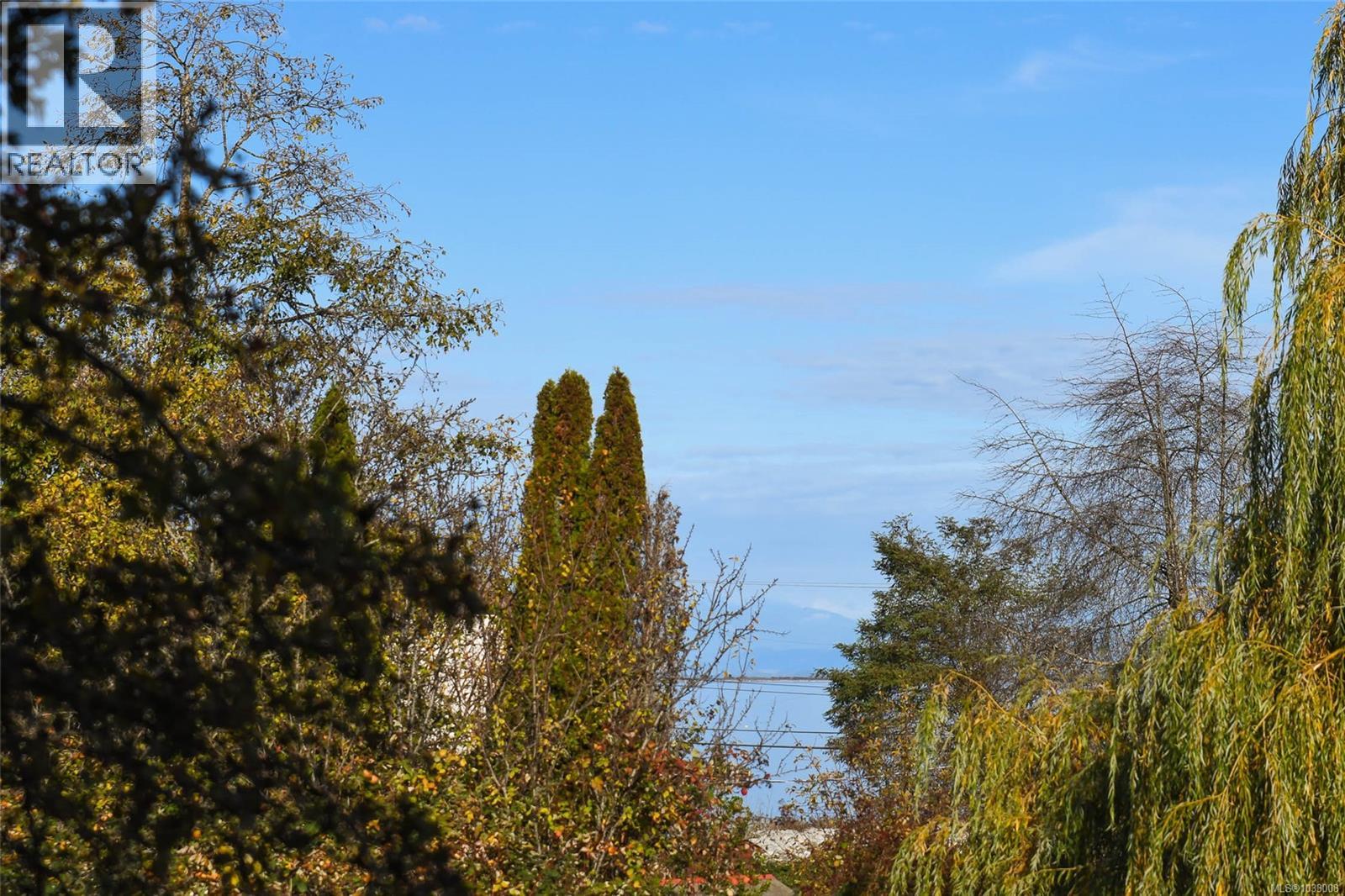 5557 Horne St, Union Bay, British Columbia  V0R 3B0 - Photo 13 - 1033008