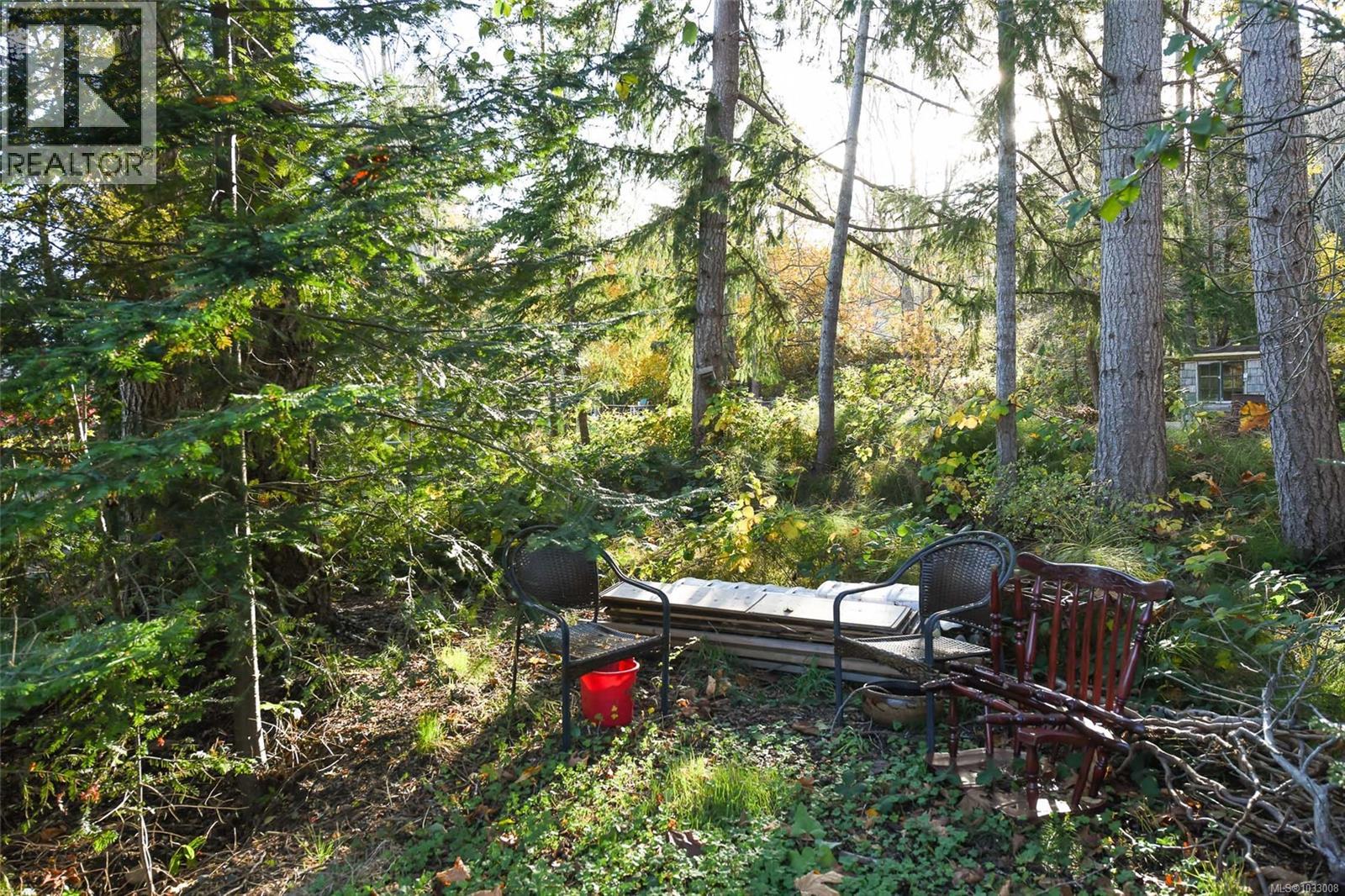 5557 Horne St, Union Bay, British Columbia  V0R 3B0 - Photo 7 - 1033008