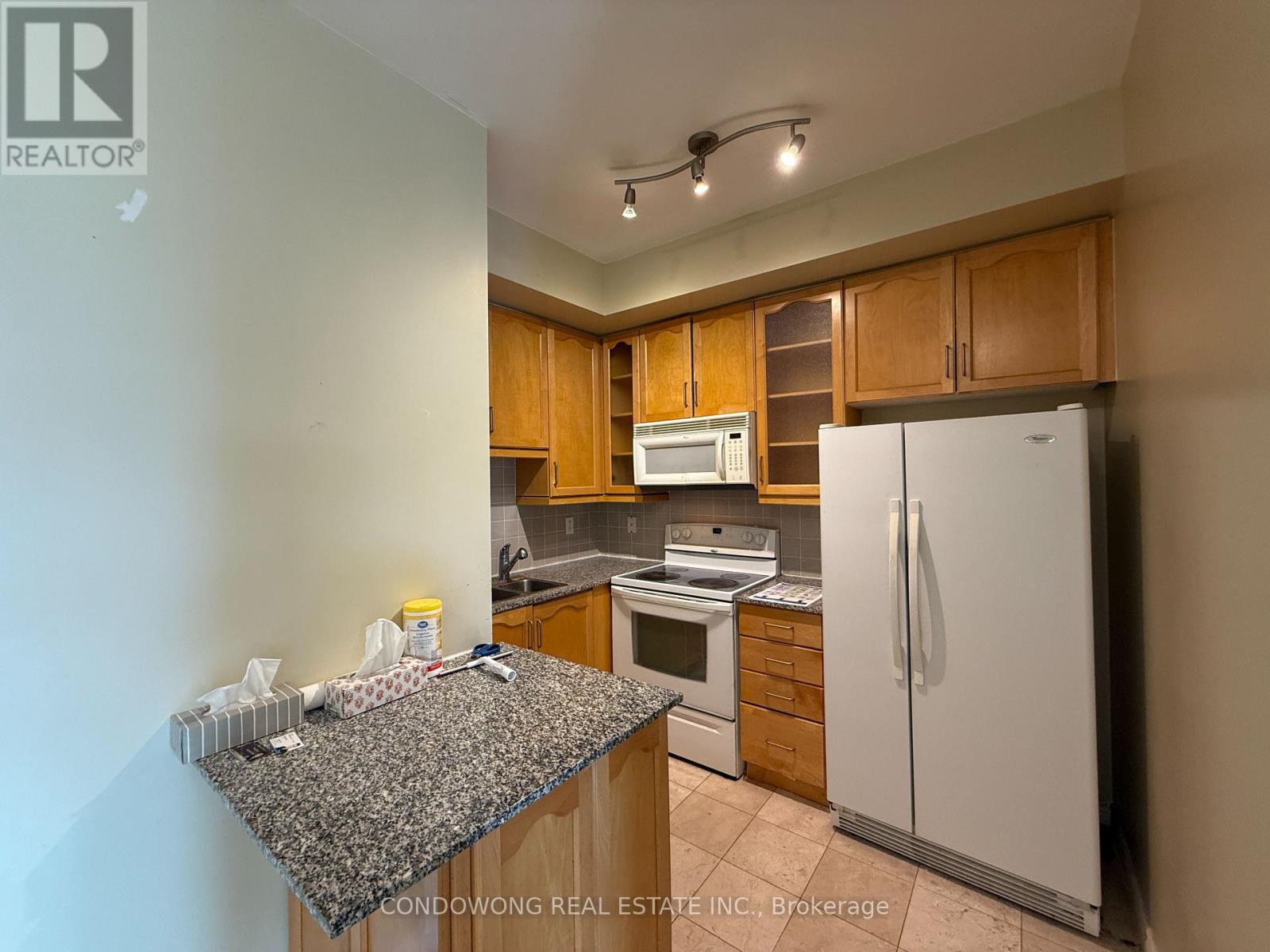 1101 - 60 Byng Avenue, Toronto, Ontario  M2N 7K3 - Photo 3 - C13026488