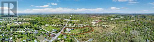 5622 Ravenshoe Road, Georgina, Ontario  L0E 1R0 - Photo 12 - N13026524