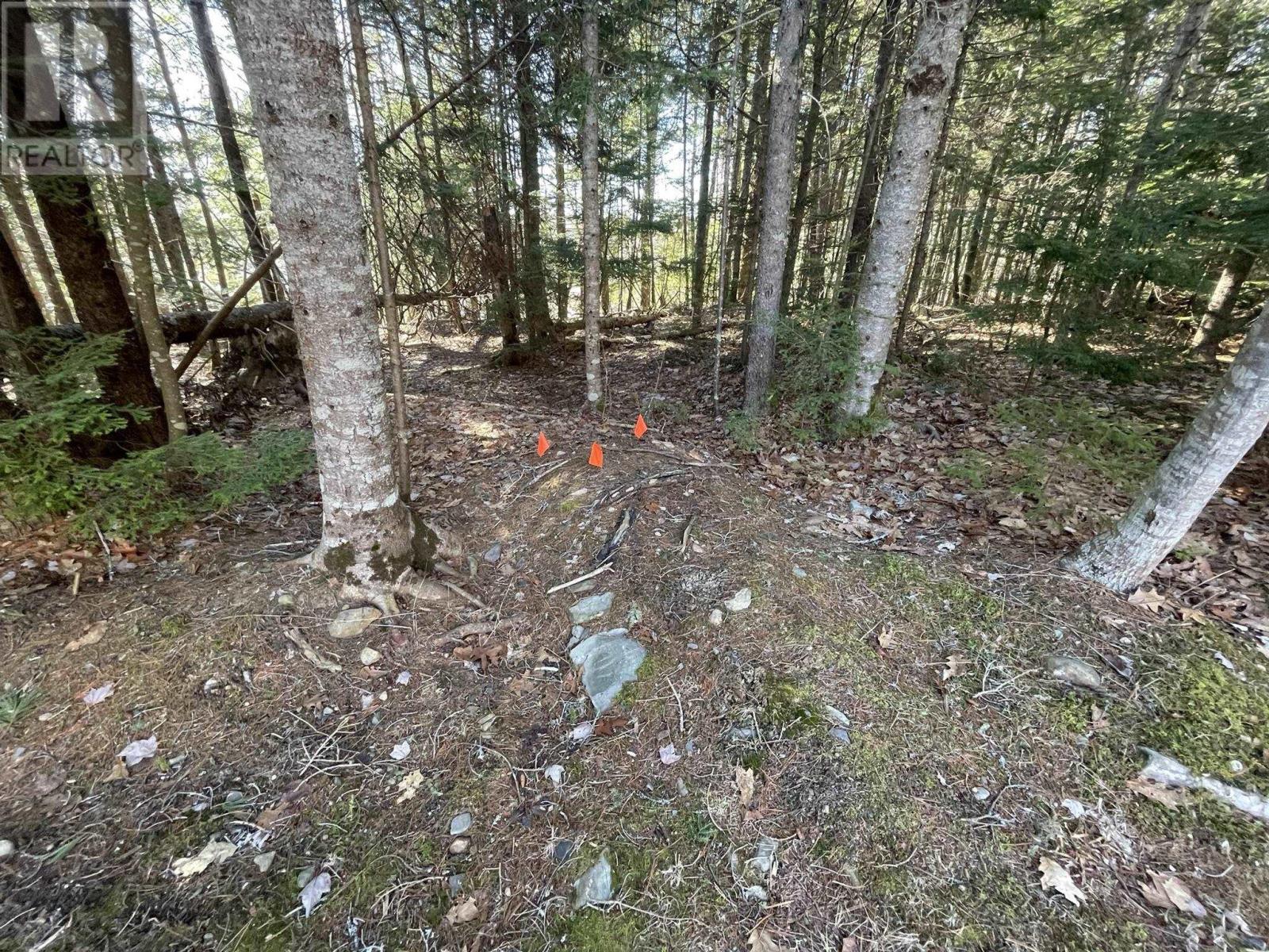 26 Anthony Avenue, Fletchers Lake, Nova Scotia  B2T 1A3 - Photo 34 - 202603938