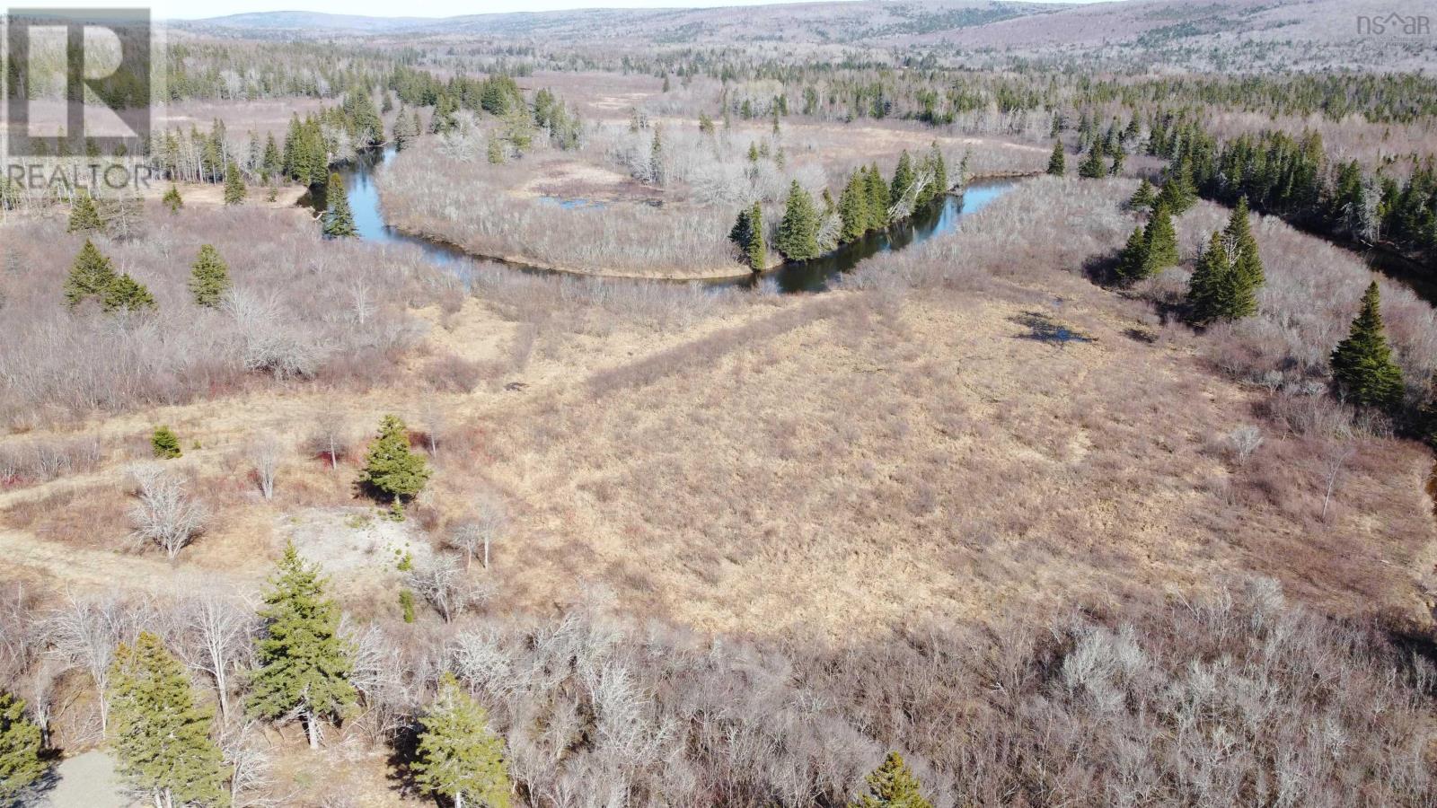 Lot 5 Barren Road, River Denys, Nova Scotia  B0E 2Y0 - Photo 10 - 202604540