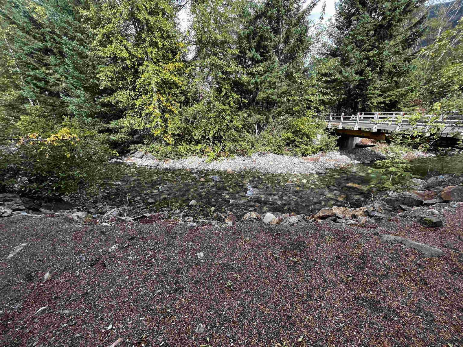 9 71860 Sumallo Road, Sunshine Valley, Sunshine Valley, British Columbia  V0X 1L5 - Photo 31 - R3081788