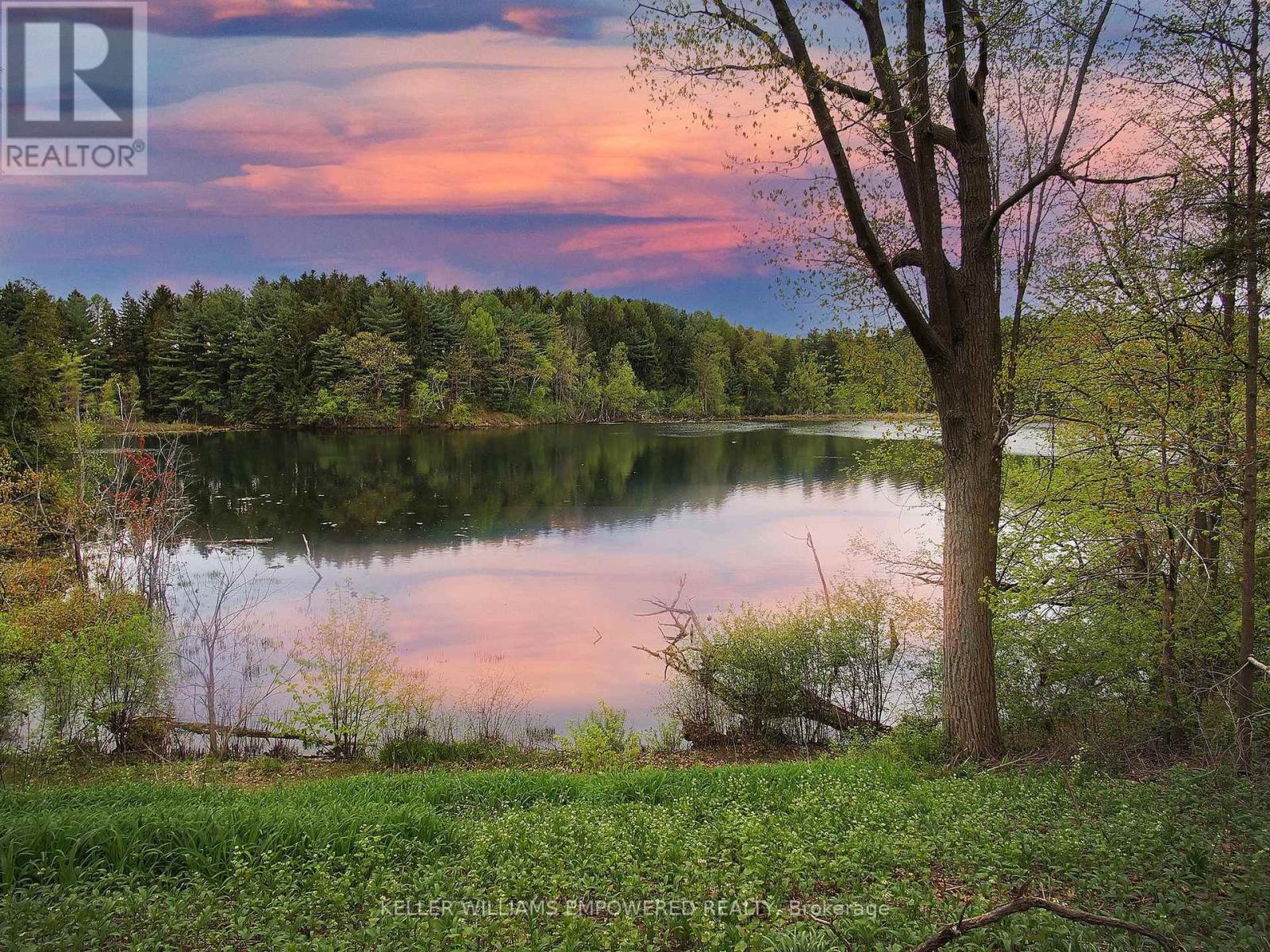 8 Macleod Estate Court, Richmond Hill, Ontario  L4E 0B1 - Photo 2 - N12770826