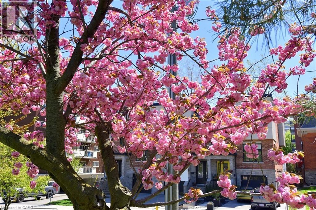 69 Herkimer Street Unit# 202, Hamilton, Ontario  L8P 2G6 - Photo 45 - 40808318