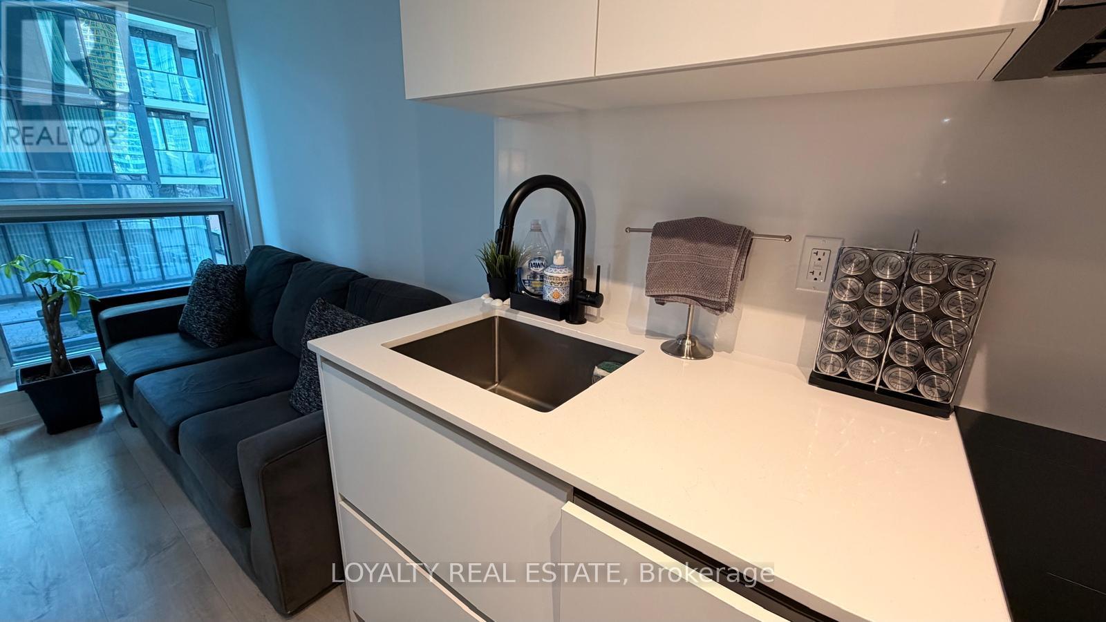 805 - 327 King Street W, Toronto (Waterfront Communities), Ontario  M5V 1J5 - Photo 7 - C13026754