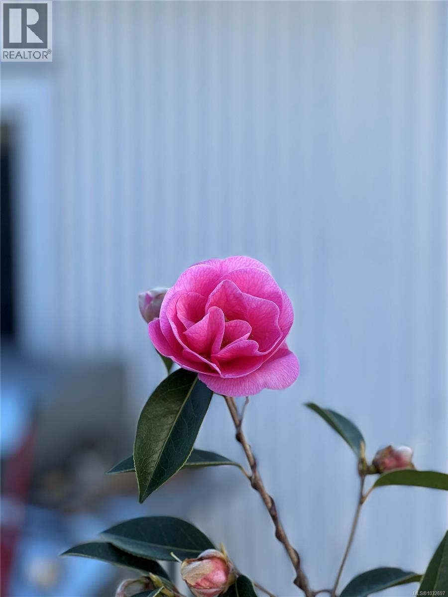 4031 Quadra St, Saanich, British Columbia  V8X 1K1 - Photo 40 - 1032697