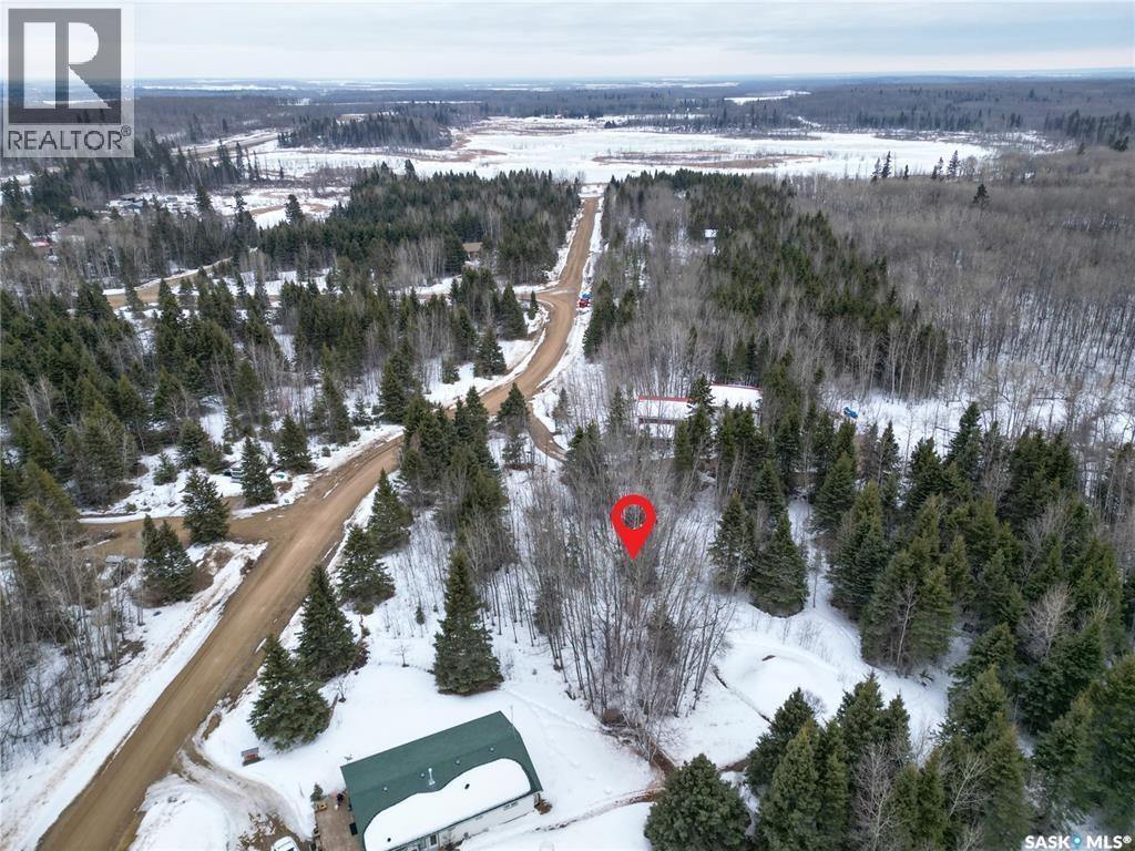 113 Poplar Crescent, Paddockwood Rm No. 520, Saskatchewan  S0J 0N0 - Photo 3 - SK033567