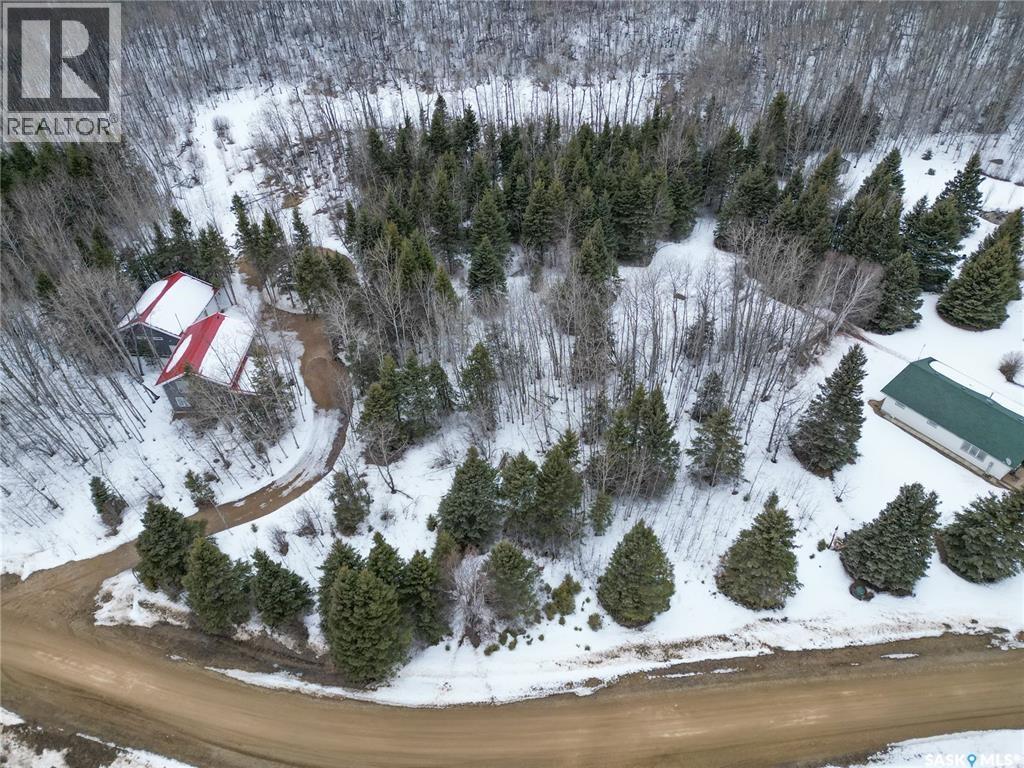 113 Poplar Crescent, Paddockwood Rm No. 520, Saskatchewan  S0J 0N0 - Photo 5 - SK033567