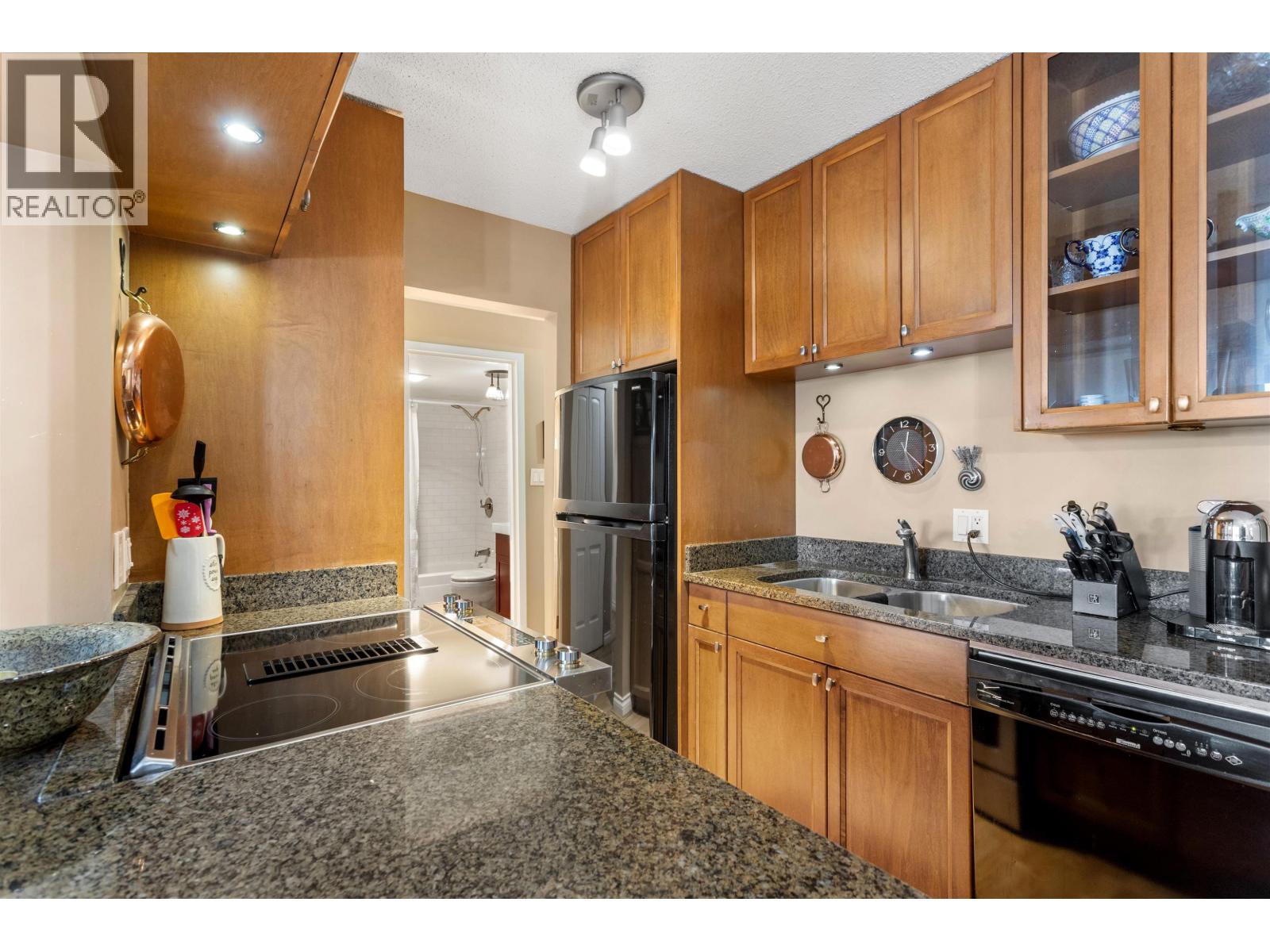 201 308 W 2nd Street, North Vancouver, British Columbia  V7M 1E1 - Photo 9 - R3113982