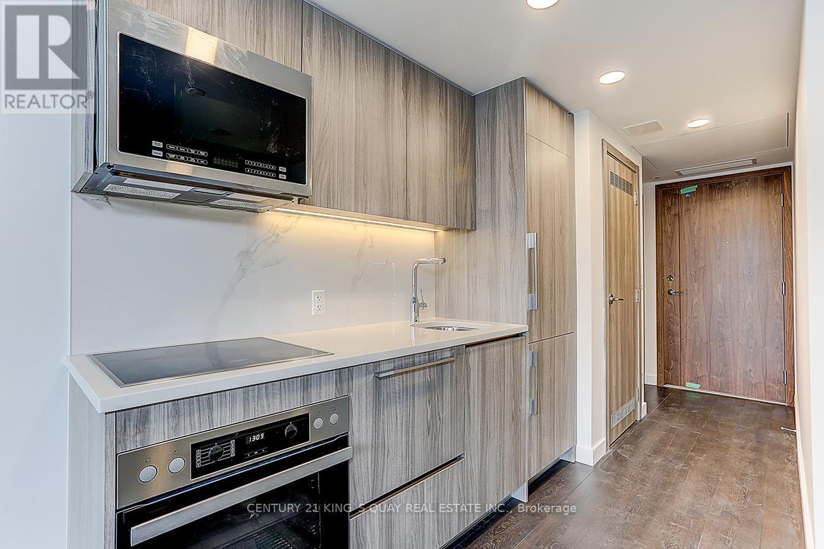 1103 - 38 Widmer Street, Toronto, Ontario  M5V 2E9 - Photo 11 - C13026902