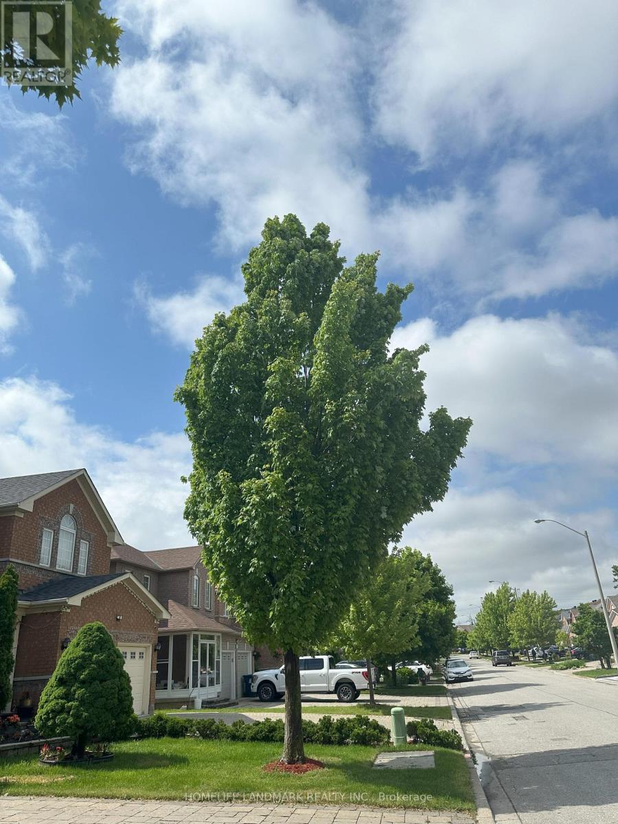 Bsmt - 6 Stonebridge Boulevard, Toronto, Ontario  M1W 4A7 - Photo 16 - E13026890