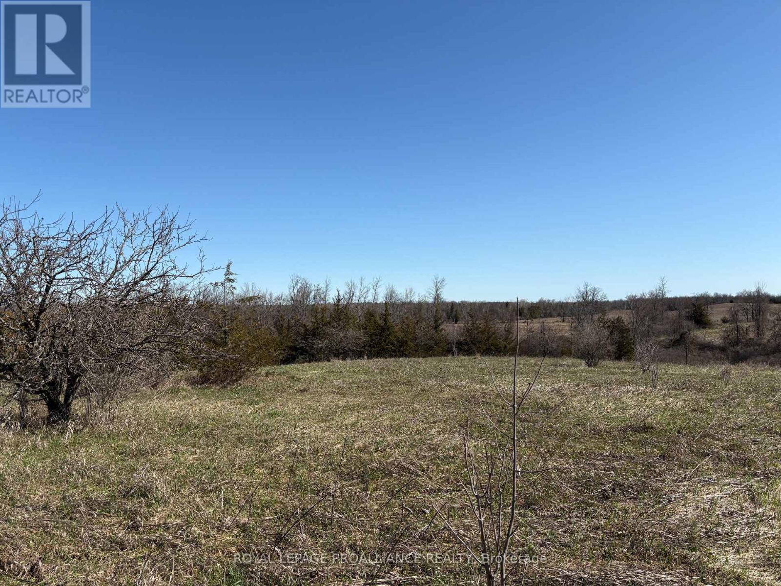 1880 13th Line E, Trent Hills, Ontario  K0L 1L0 - Photo 5 - X13025090