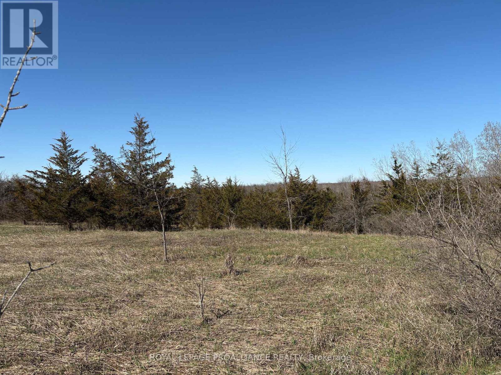 1880 13th Line E, Trent Hills, Ontario  K0L 1L0 - Photo 4 - X13025090