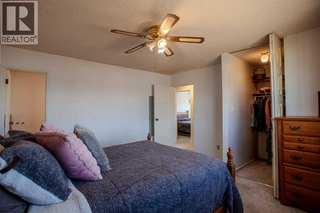 4408 45 Street, Mayerthorpe, Alberta  T0E 1N0 - Photo 25 - A2303696