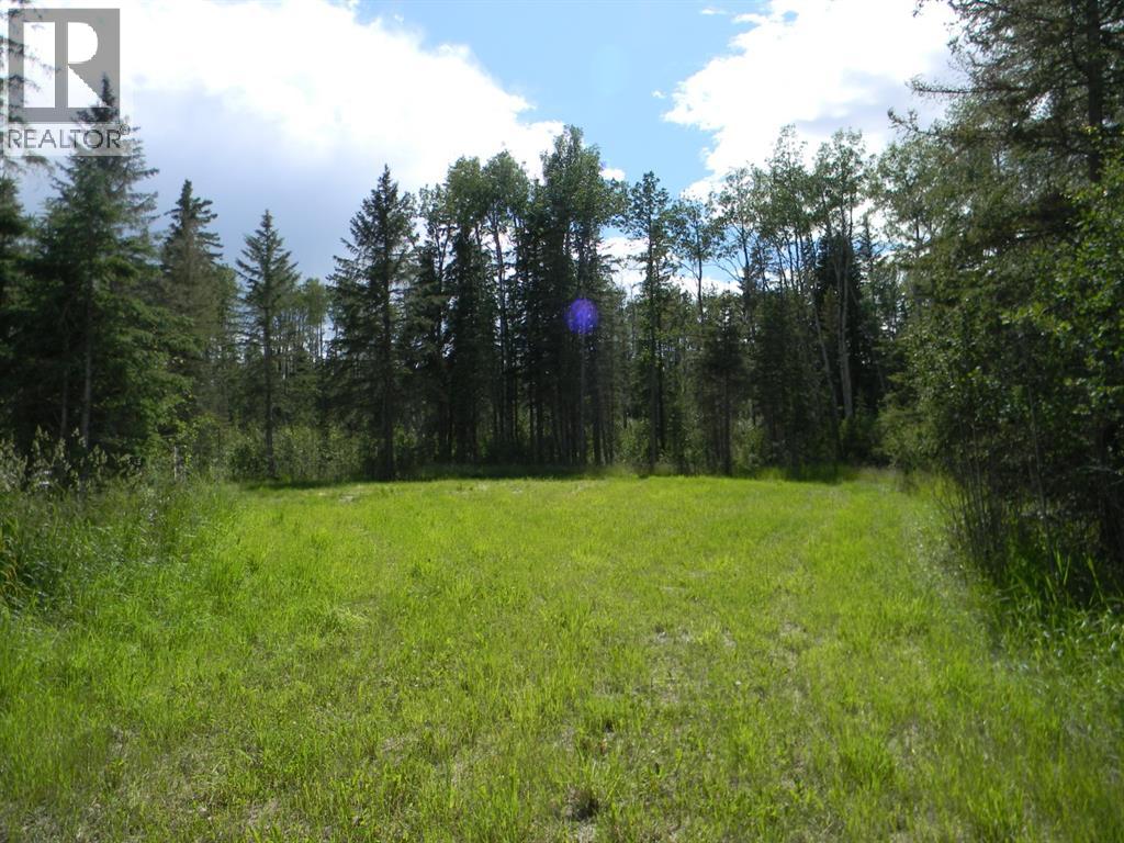 115 Meadow Ponds Drive, Rural Clearwater County, Alberta  T4T 1A7 - Photo 4 - A1020971