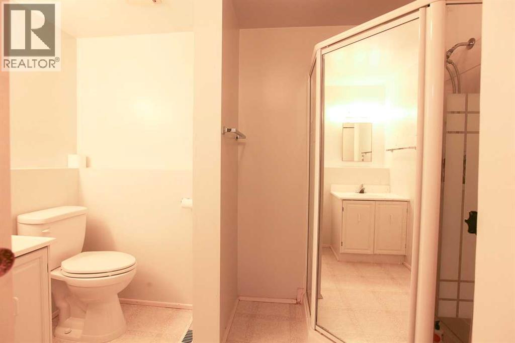 4408 45 Street, Mayerthorpe, Alberta  T0E 1N0 - Photo 32 - A2303696