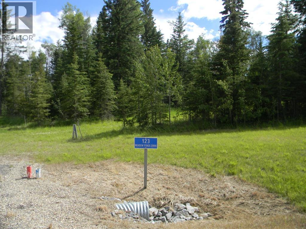 123 Meadow Ponds Drive, Rural Clearwater County, Alberta  T4T 1A7 - Photo 6 - A1021042