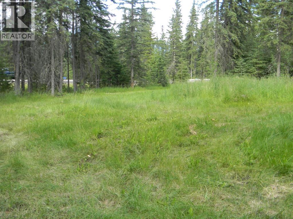 131 Meadow Ponds Drive, Rural Clearwater County, Alberta  T4T 1A7 - Photo 6 - A1021056