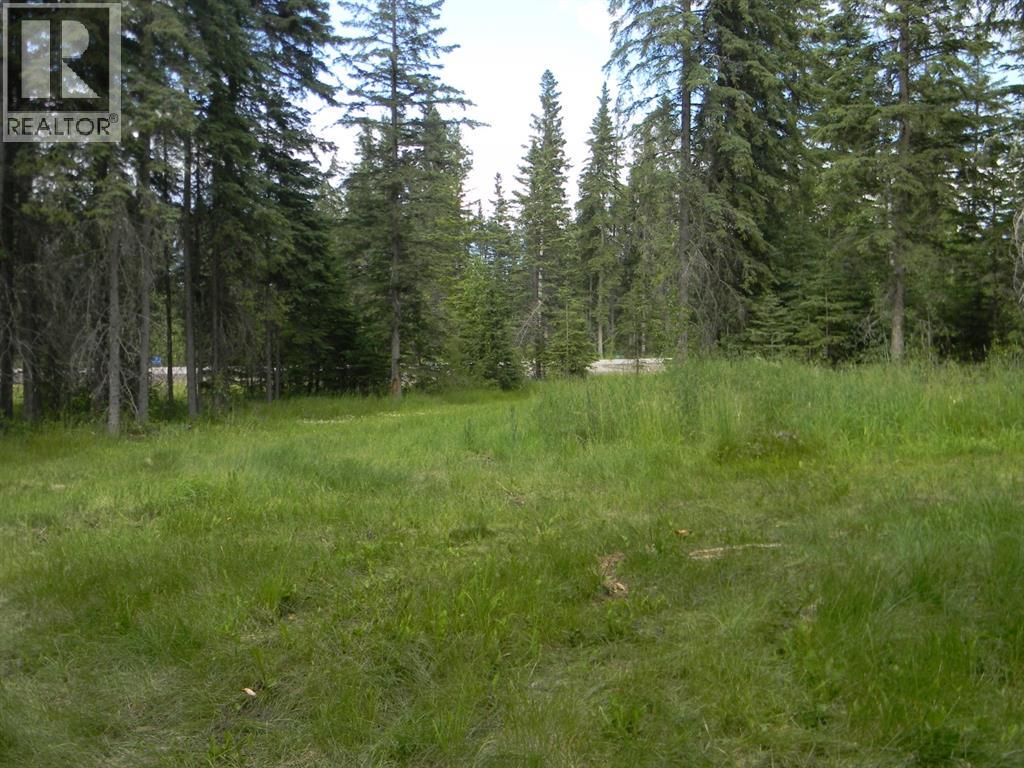 131 Meadow Ponds Drive, Rural Clearwater County, Alberta  T4T 1A7 - Photo 4 - A1021056