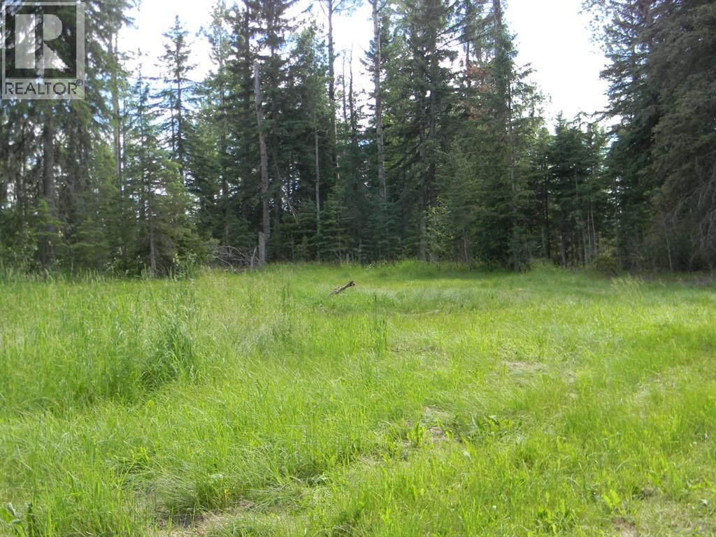131 Meadow Ponds Drive, Rural Clearwater County, Alberta  T4T 1A7 - Photo 3 - A1021056