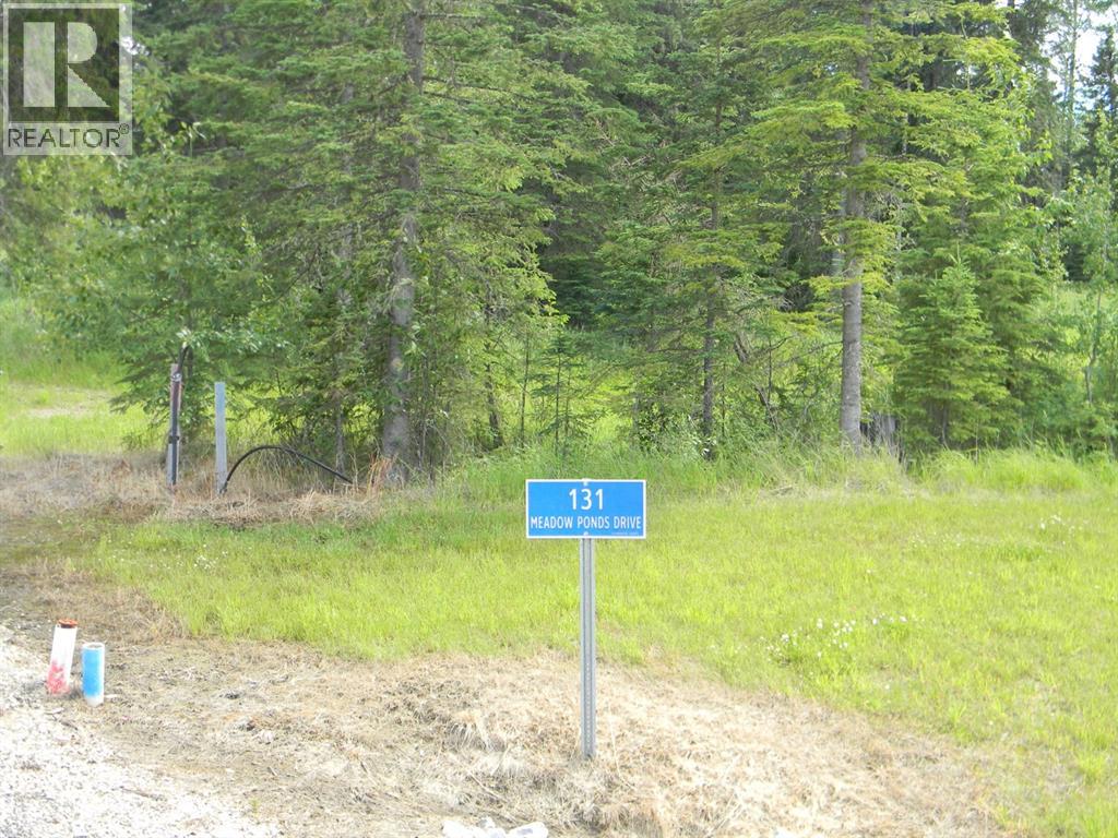 131 Meadow Ponds Drive, Rural Clearwater County, Alberta  T4T 1A7 - Photo 8 - A1021056