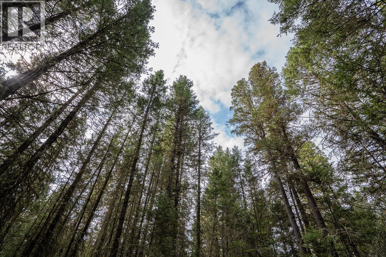 Lot 83 Tattersfield Place, 108 Mile Ranch, British Columbia  V0K 2Z0 - Photo 5 - R3113907