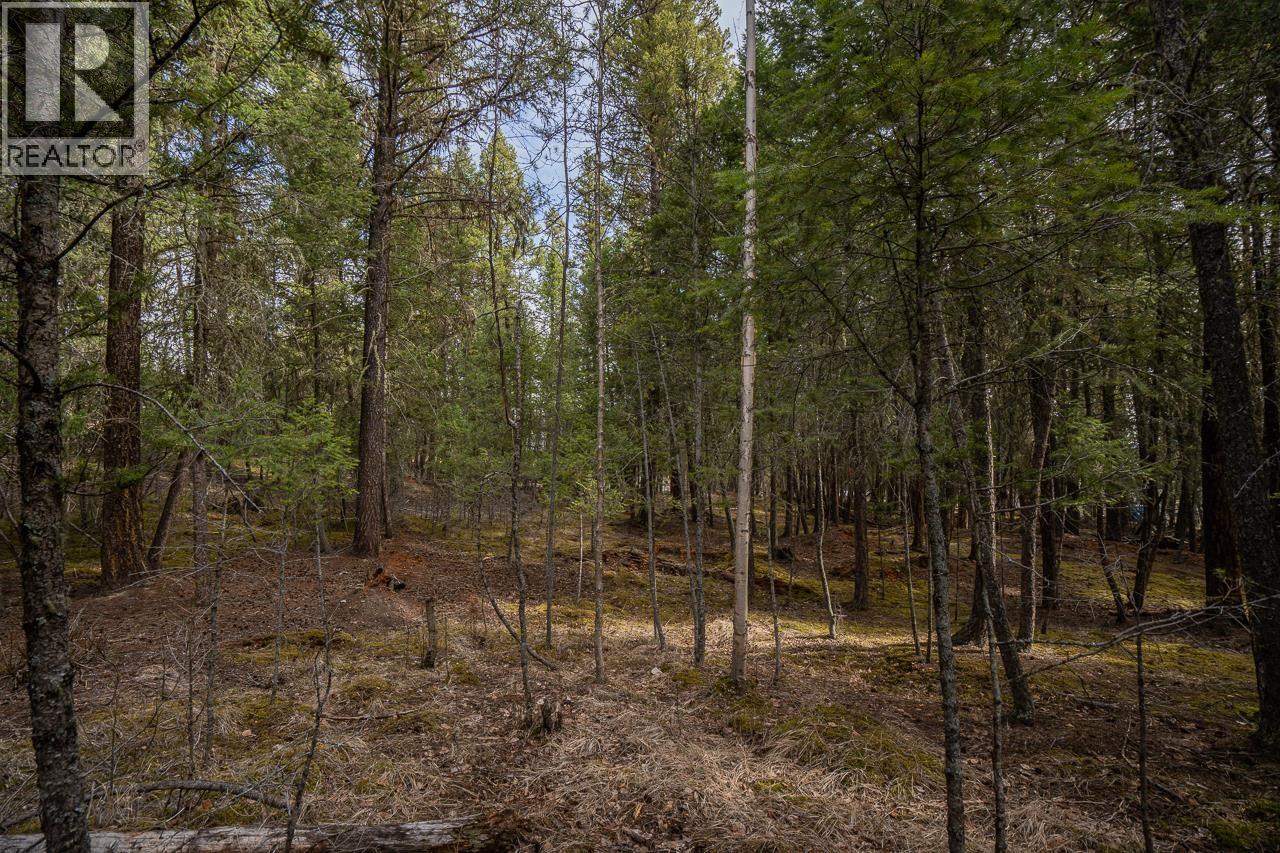 Lot 83 Tattersfield Place, 108 Mile Ranch, British Columbia  V0K 2Z0 - Photo 8 - R3113907