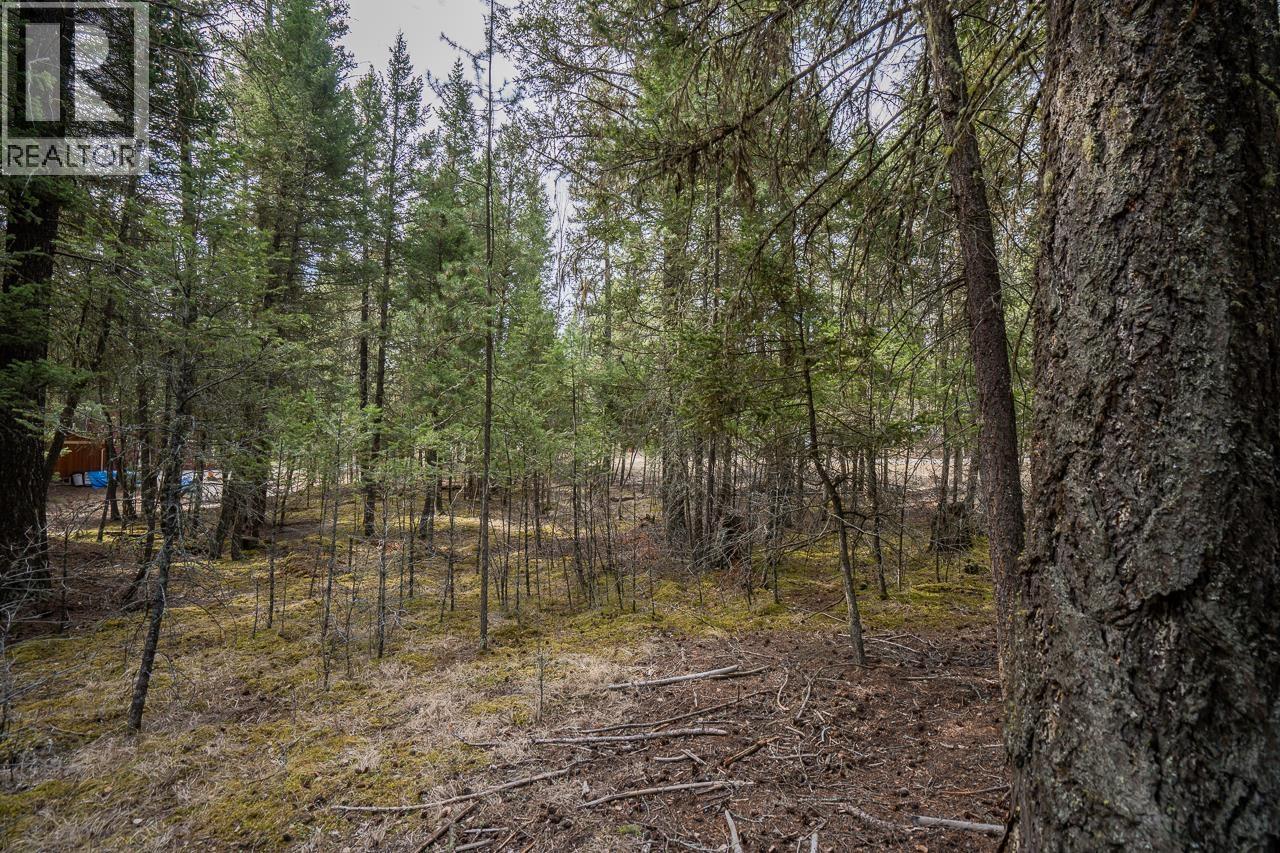 Lot 83 Tattersfield Place, 108 Mile Ranch, British Columbia  V0K 2Z0 - Photo 7 - R3113907