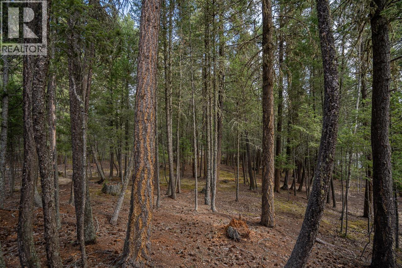 Lot 83 Tattersfield Place, 108 Mile Ranch, British Columbia  V0K 2Z0 - Photo 3 - R3113907