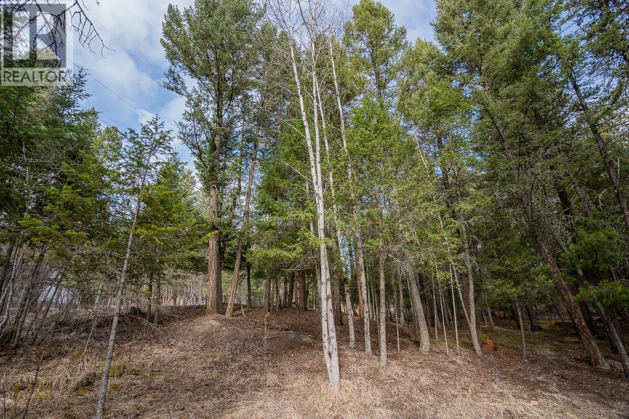 Lot 83 Tattersfield Place, 108 Mile Ranch, British Columbia  V0K 2Z0 - Photo 10 - R3113907
