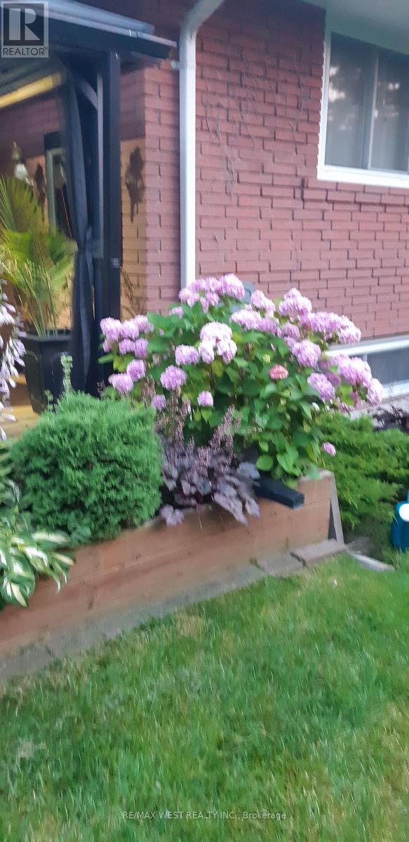 1184 Kingston Road, Pickering, Ontario  L1V 1B4 - Photo 43 - E13024314