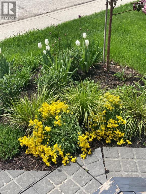 3410 25 Avenue Sw, Calgary, Alberta  T3E 1T5 - Photo 39 - A2302728