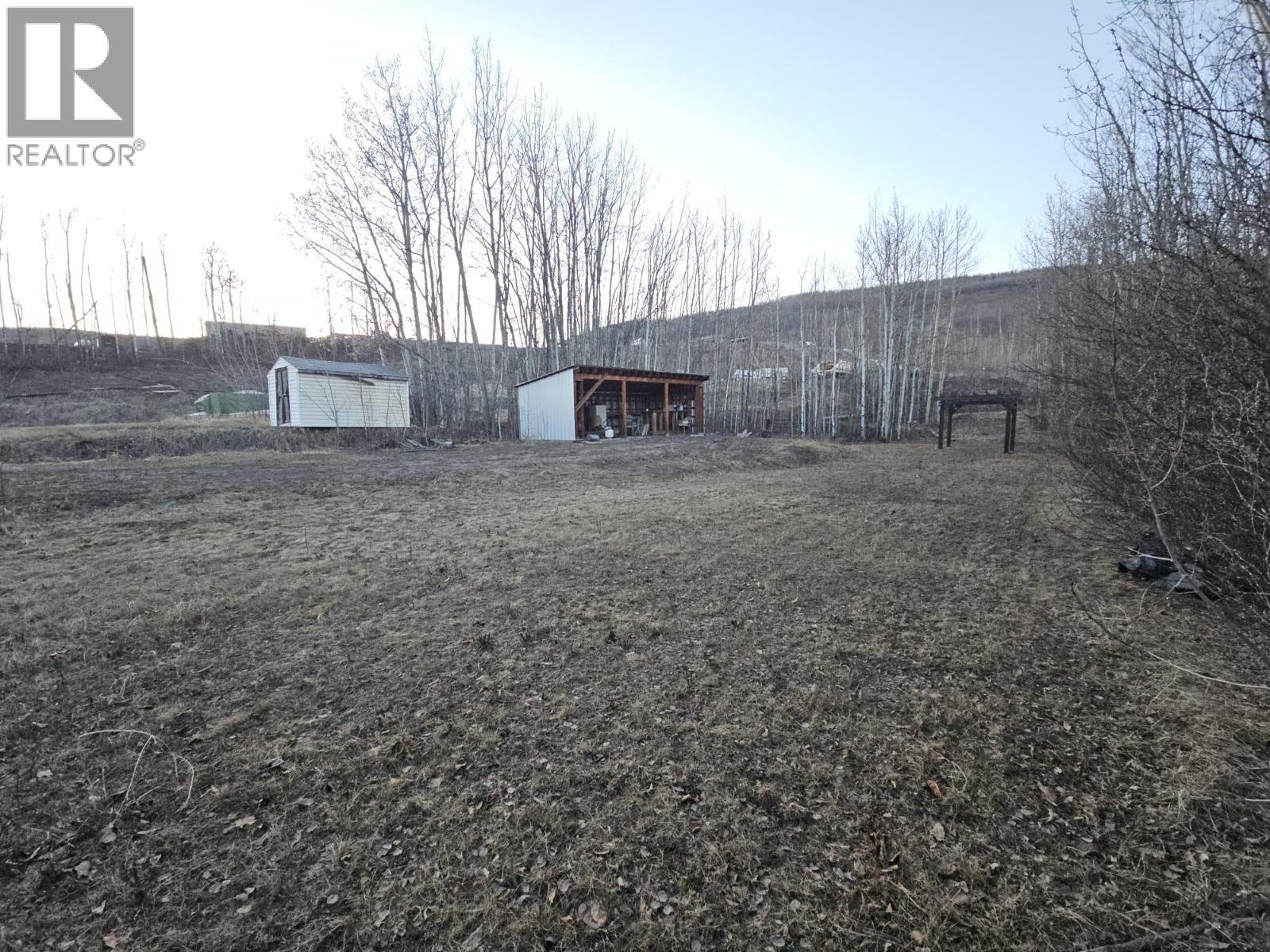 4504 42 Avenue NE, Chetwynd, British Columbia  V0C 1J0 - Photo 46 - 10373866