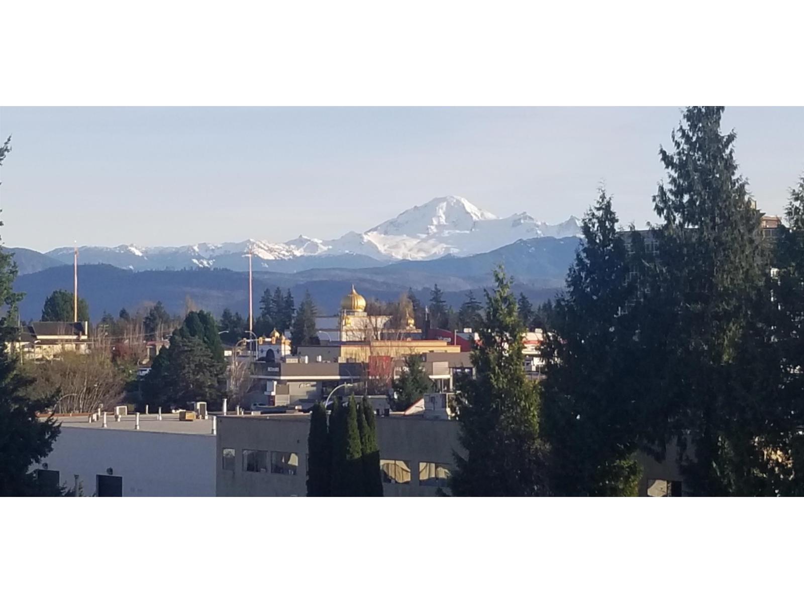 601 32838 Landeau Place, Abbotsford, British Columbia  V2S 0M6 - Photo 6 - R3093498