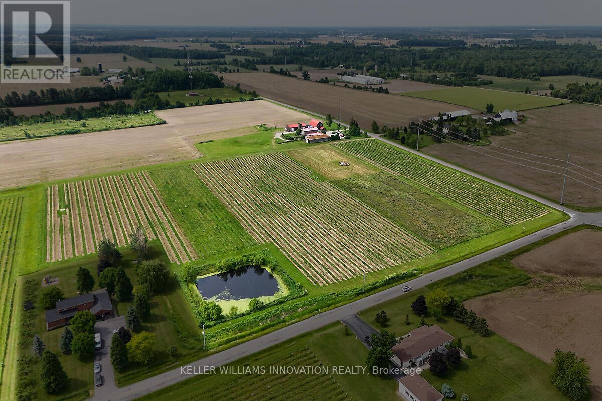 3749 Walker Road, Lincoln, Ontario  L0R 1B2 - Photo 47 - X12270980