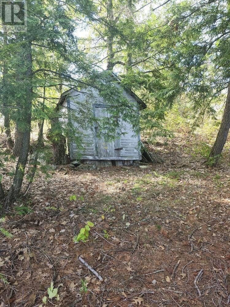 1420 Island 76, Douro-Dummer, Ontario  K0L 2H0 - Photo 25 - X13027334