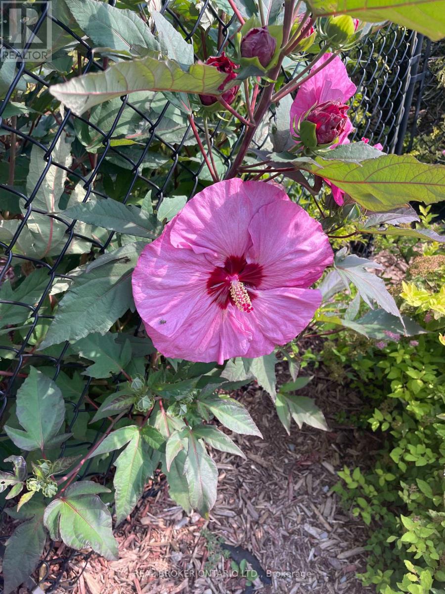 2952 Powerline Road W, Hamilton, Ontario  L0R 1T0 - Photo 42 - X12837602