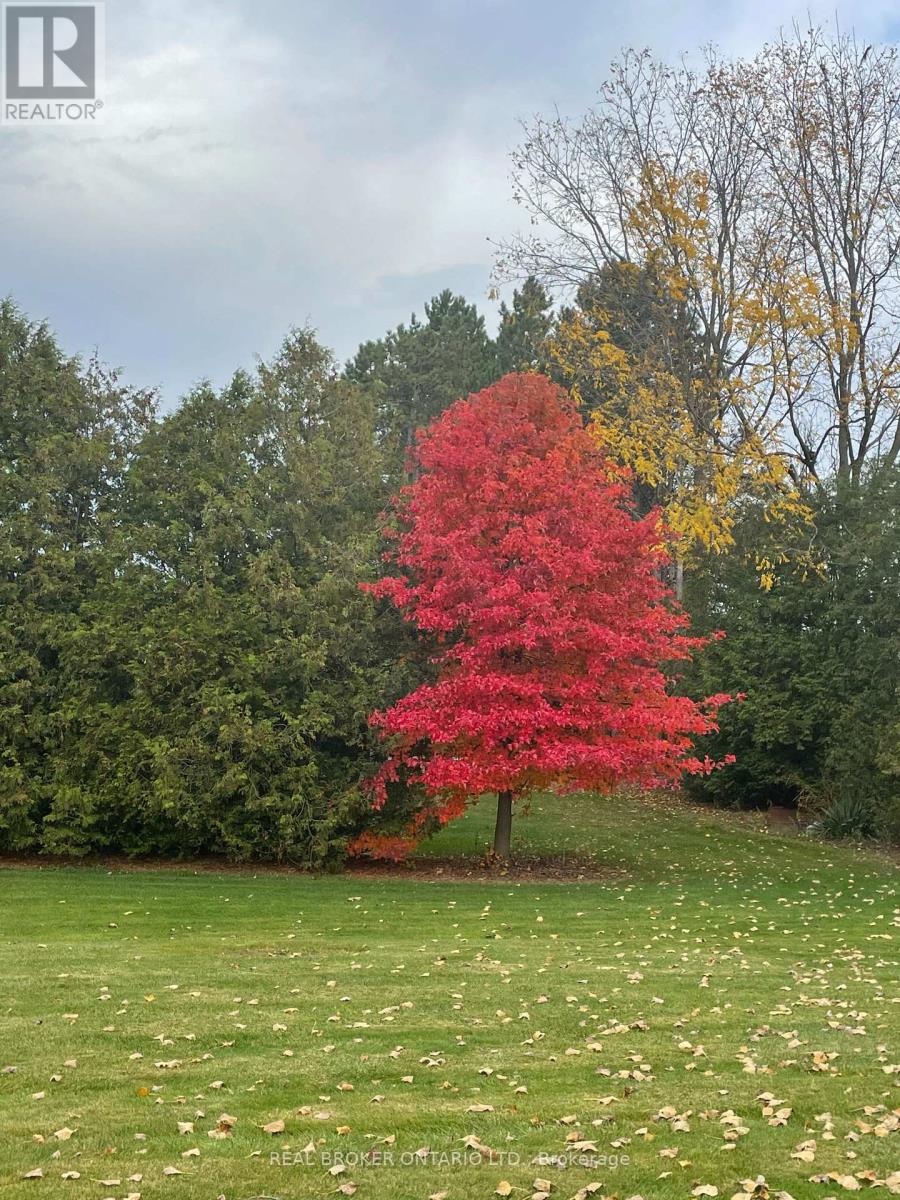 2952 Powerline Road W, Hamilton, Ontario  L0R 1T0 - Photo 44 - X12837602