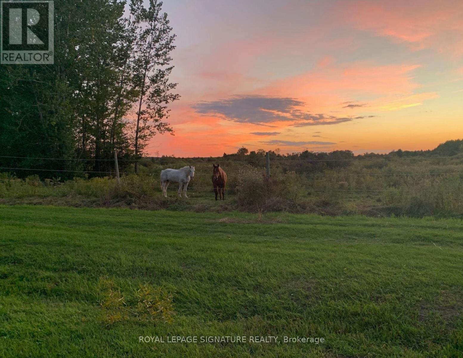 1152 Concession 1 Road, Ramara, Ontario  L0K 1B0 - Photo 36 - S13027262