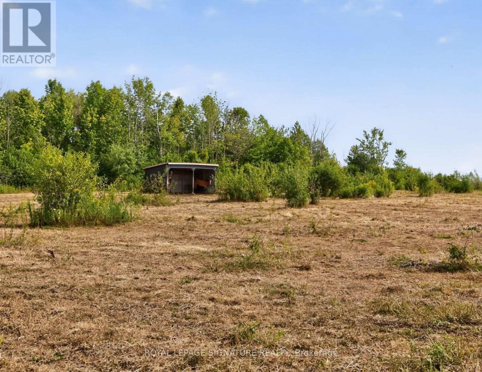 1152 Concession 1 Road, Ramara, Ontario  L0K 1B0 - Photo 37 - S13027262