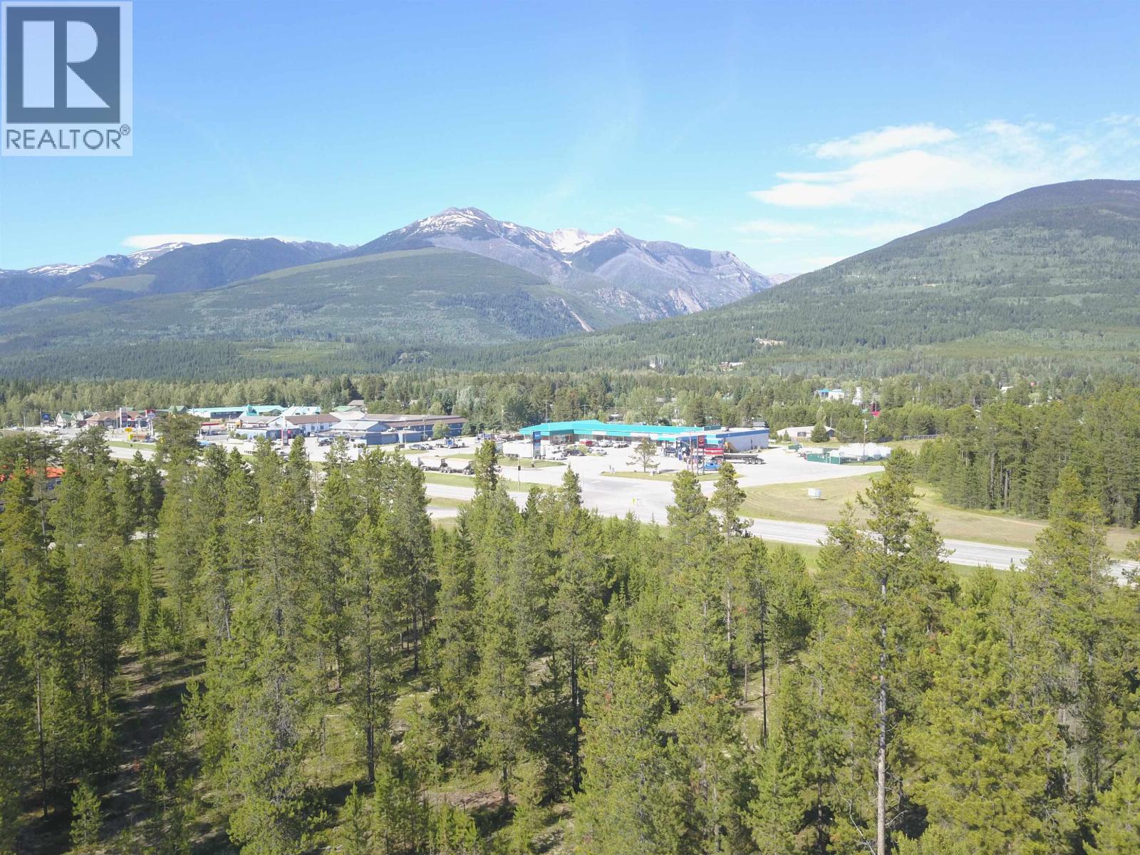 1105 S 5 Highway, Valemount, British Columbia  V0E 2Z0 - Photo 6 - C8078093