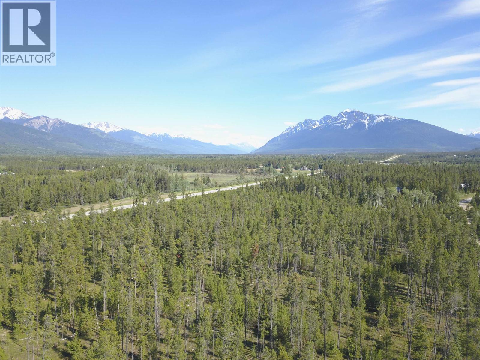1105 S 5 Highway, Valemount, British Columbia  V0E 2Z0 - Photo 2 - C8078093