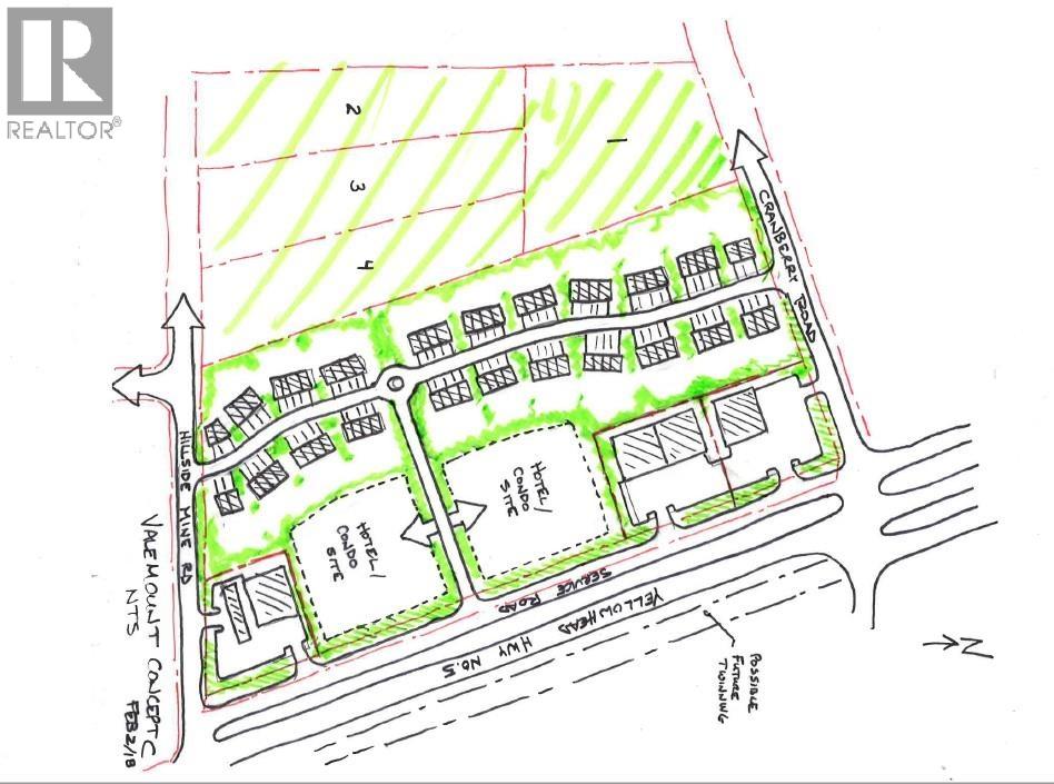 1105 S 5 Highway, Valemount, British Columbia  V0E 2Z0 - Photo 9 - C8078093