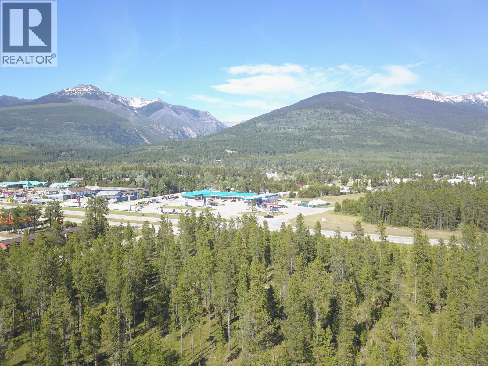 1105 S 5 Highway, Valemount, British Columbia  V0E 2Z0 - Photo 3 - C8078093