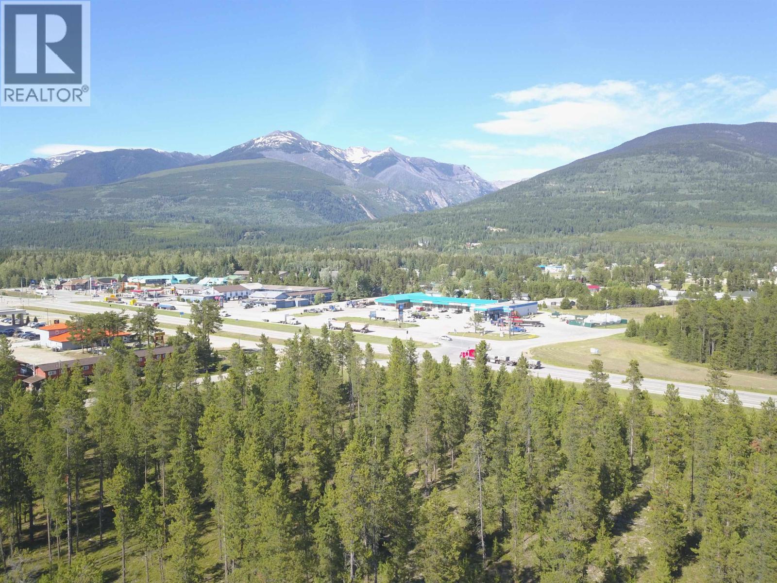 1105 S 5 Highway, Valemount, British Columbia  V0E 2Z0 - Photo 4 - C8078093