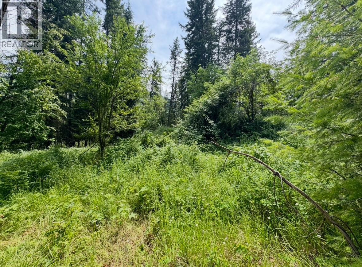 Corra Linn Road Lot# 41 & 41a, Bonnington, British Columbia  V0G 2G3 - Photo 12 - 10384149