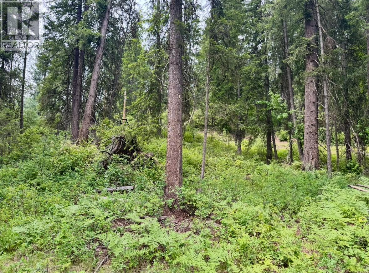 Corra Linn Road Lot# 41 & 41a, Bonnington, British Columbia  V0G 2G3 - Photo 14 - 10384149